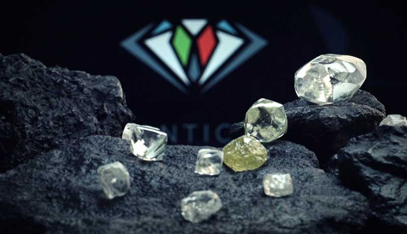 TAGS видит хороший спрос на крупные алмазы